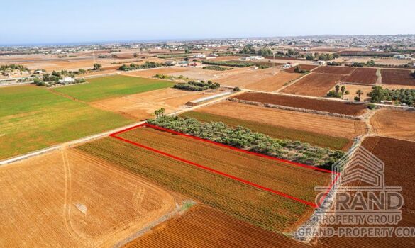 Field - G9199 - photo-1