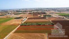Field - G9199 - photo-3