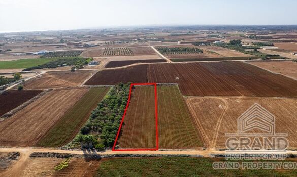 Field - G9199 - photo-4