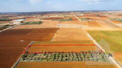 Field - G9199 - photo-5
