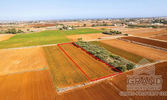 Field - G9199 - photo-6