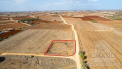 Field - G9197 - photo-2