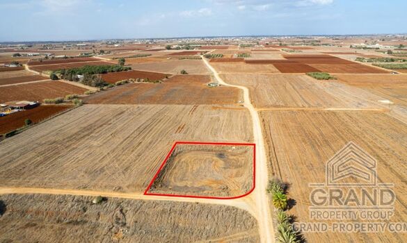 Field - G9197 - photo-2