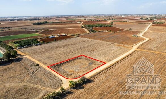 Field - G9197 - photo-3