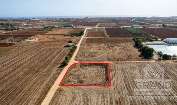 Field - G9197 - photo-4