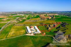 Field - G8669 - photo-2