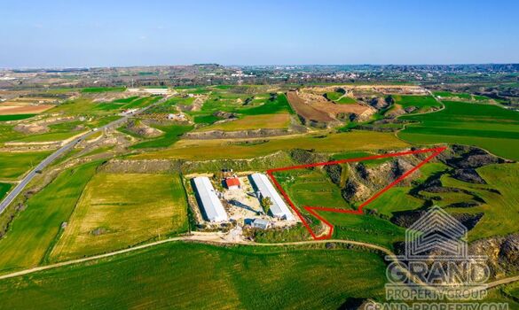 Field - G8669 - photo-2