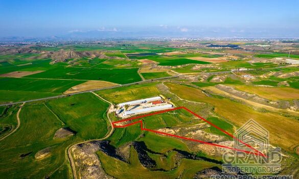 Field - G8669 - photo-1