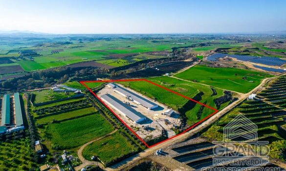Field - G8671 - photo-2