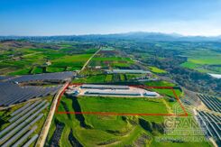 Field - G8671 - photo-4