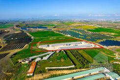Field - G8671 - photo-6