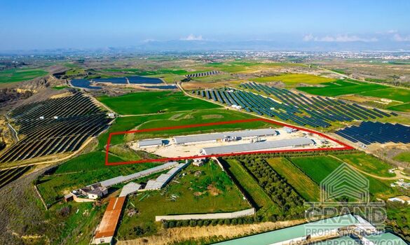 Field - G8671 - photo-6