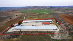 Field - G9476 - photo-2