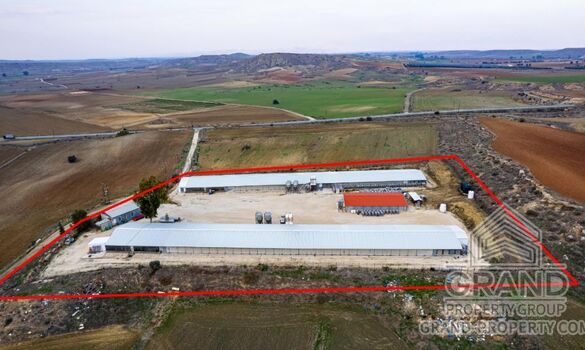 Field - G9476 - photo-2