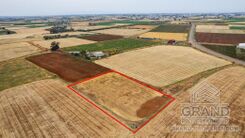 Field - G9320 - photo-2