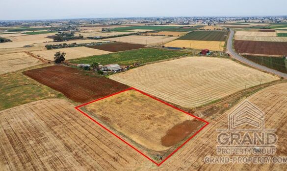 Field - G9320 - photo-2