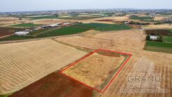 Field - G9320 - photo-3