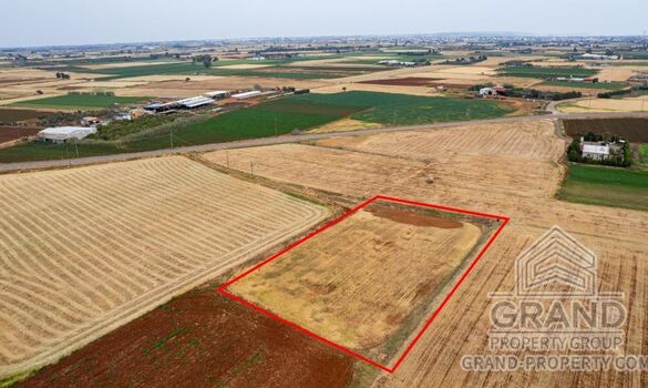 Field - G9320 - photo-3