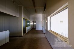 Field - G9168 - photo-7