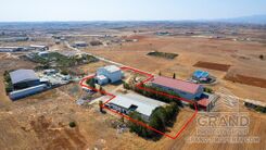 Field - G9168 - photo-9
