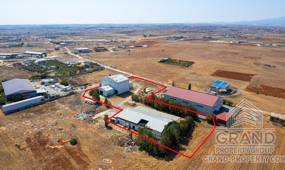 Field - G9168 - photo-9