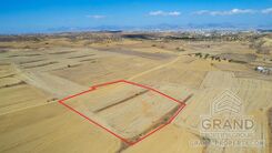 Field - G9637 - photo-2