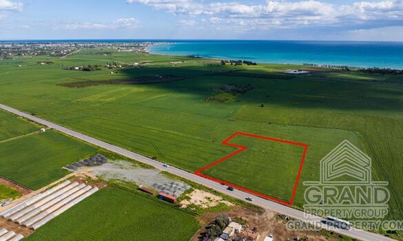 Field - G9682 - photo-2