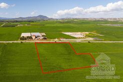 Field - G9682 - photo-3