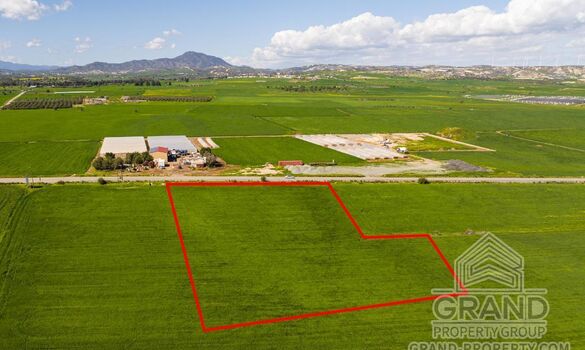 Field - G9682 - photo-3