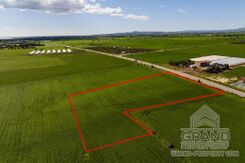 Field - G9682 - photo-4
