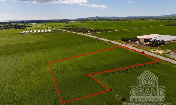 Field - G9682 - photo-4