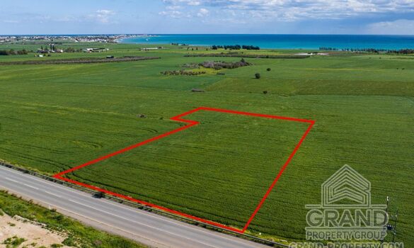 Field - G9682 - photo-1