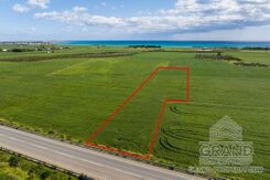 Field - G9685 - photo-3