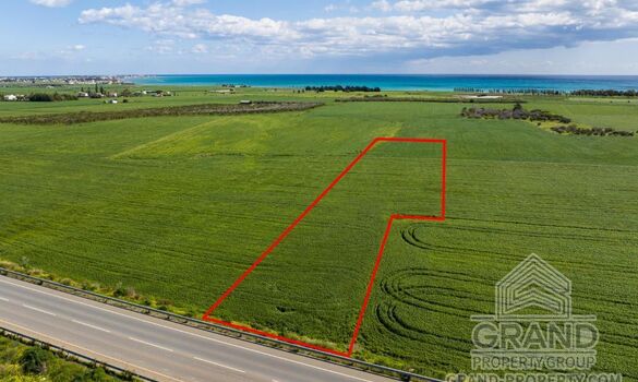 Field - G9685 - photo-3