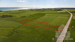 Field - G9685 - photo-4