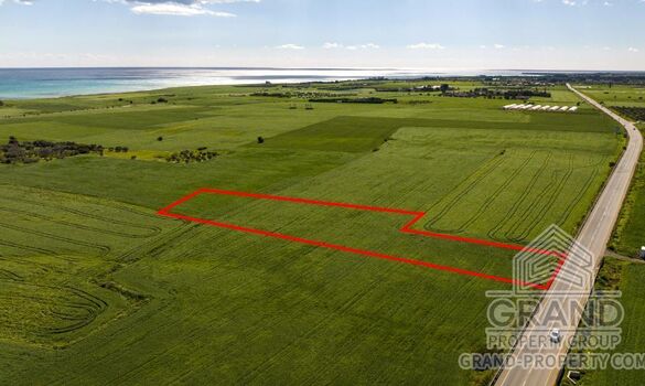 Field - G9685 - photo-4
