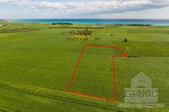 Field - G9687 - photo-1
