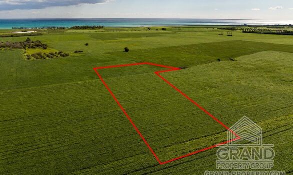 Field - G9687 - photo-2