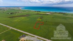 Field - G9687 - photo-3