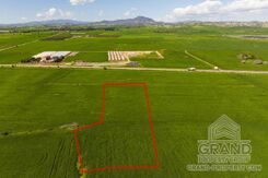 Field - G9687 - photo-4