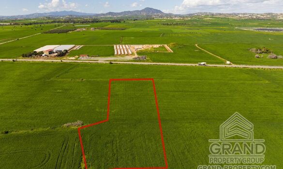 Field - G9687 - photo-4
