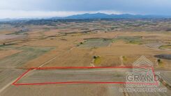 Field - G9712 - photo-1