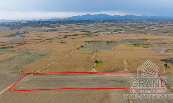 Field - G9712 - photo-1
