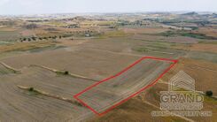Field - G9712 - photo-2