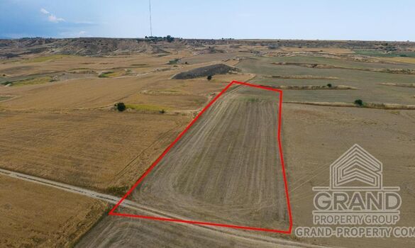 Field - G9712 - photo-4