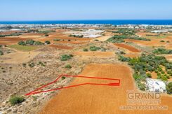 Field - G9577 - photo-1